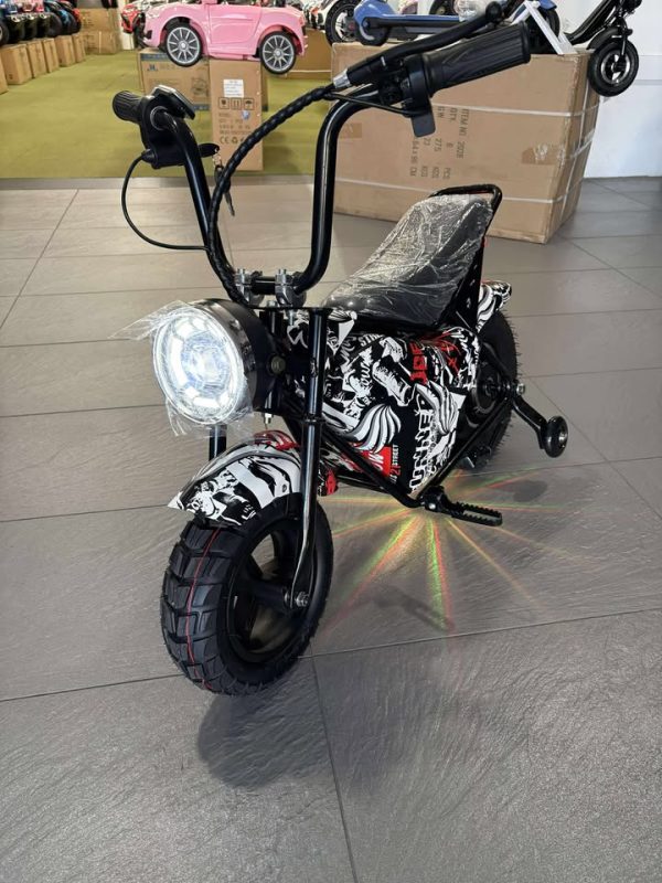 Electric Rechargeable Bike 36 Volt with brushless Motor, Rubber Wheels, optional training wheels - Image 12