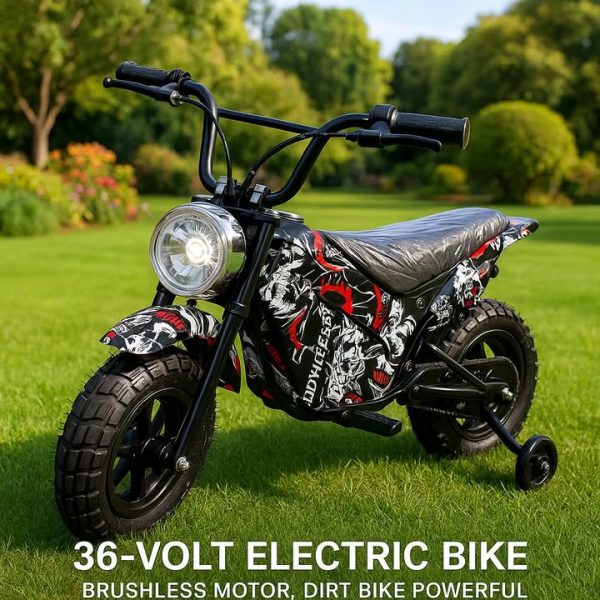 Electric Rechargeable Bike 36 Volt with brushless Motor, Rubber Wheels, optional training wheels - Image 14