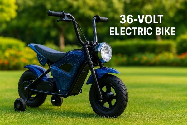 Electric Rechargeable Bike 36 Volt with brushless Motor, Rubber Wheels, optional training wheels