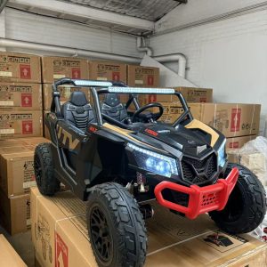 Upgraded UTV 4WD Off-Road 24 V Two-seater – Upgraded New high-powered Quiet Motors, Air Rubber Wheels